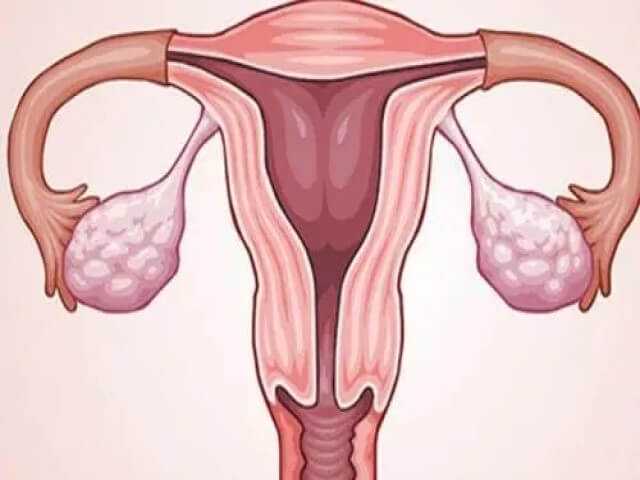子宫内膜厚度13mm可以移植胚胎吗，怀孕成